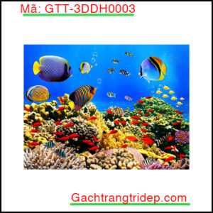 Gach-san-3D-Goldenstar-GTT-3DDH0003