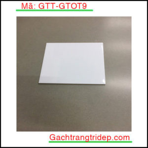 Gach-the-nhap-khau-op-tuong-KT-20x20cm-GTT-GTOT9