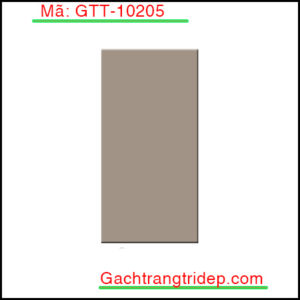 Gach-the-nhap-khau-trang-tri-KT-100x200mm-phang-bong-GTT-10205
