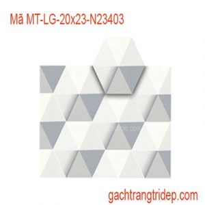 gach-luc-giac-MT-LG-20X23-N23403